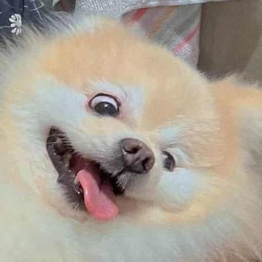 DJ'YE【Da Wei Steven Private Mix V2】《小風車大西幾 - 惡龍咆哮 X 抖音熱曲 - 比比安慕希 X 抖音熱曲 - 羊了個羊》Mixtape 2x22