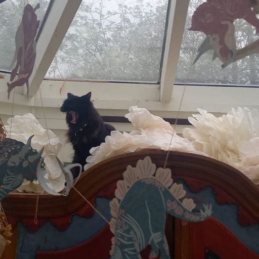 Body Motion w/ Bossman Wines - 14th April 2026