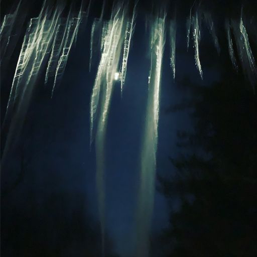 The Long Polar Night