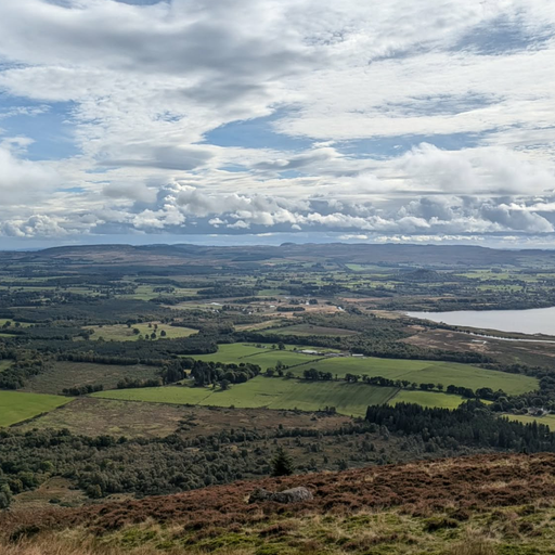 Endless Grooves - 31/01/26 - [Voices Radio]