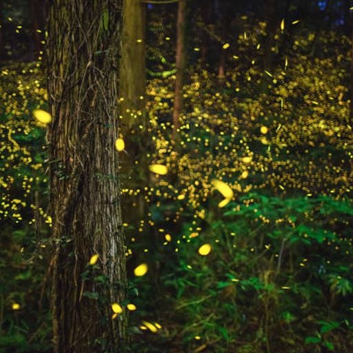 My LateNight Tales part 2