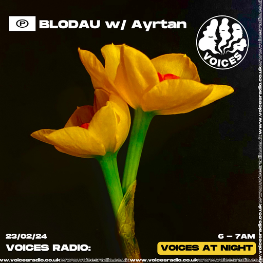 BLODAU w/ Ayrtan - 23/02/24 [Voices Radio]