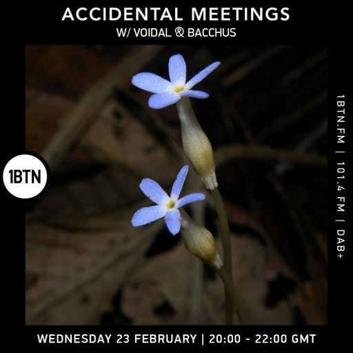 Accidental Meetings - 23.02.2022