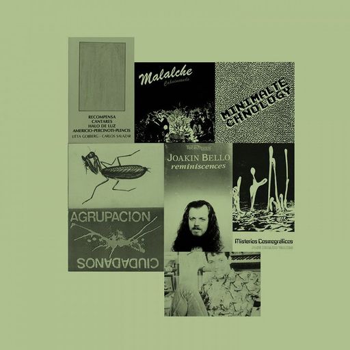 Luis Alvarado: CHILE SINTÉTICA (1983-1993) - 23rd February 2025