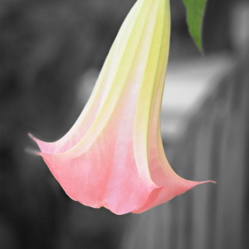 Random Wednesday set (17/09/25)