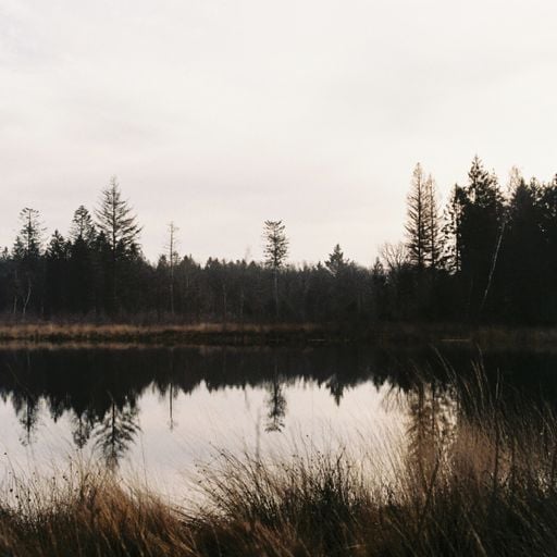 sounds of winter w/ Felbm // 23-12-2025