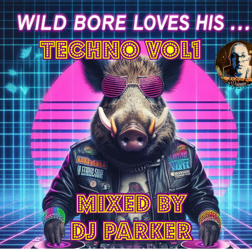 DJ PARKER-WILDBORE LOVES HIS... TECHNO NOVEMBER TECHNO MIX 2024