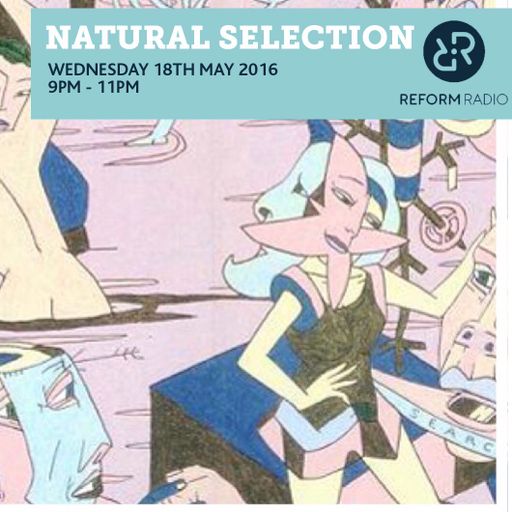 Natural Selection May 18th 2016