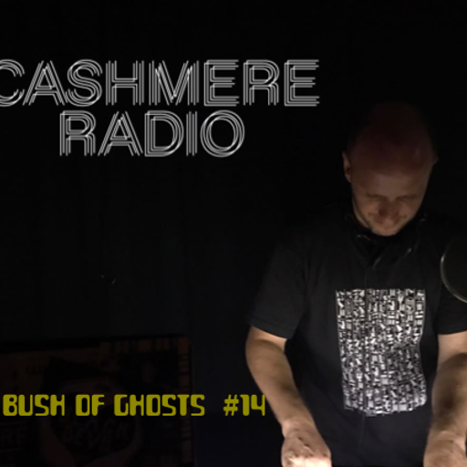 Bush of Ghosts # 14 with David Tinning