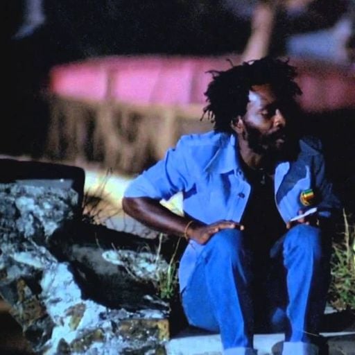 du futur faisons rockers voyage reggae