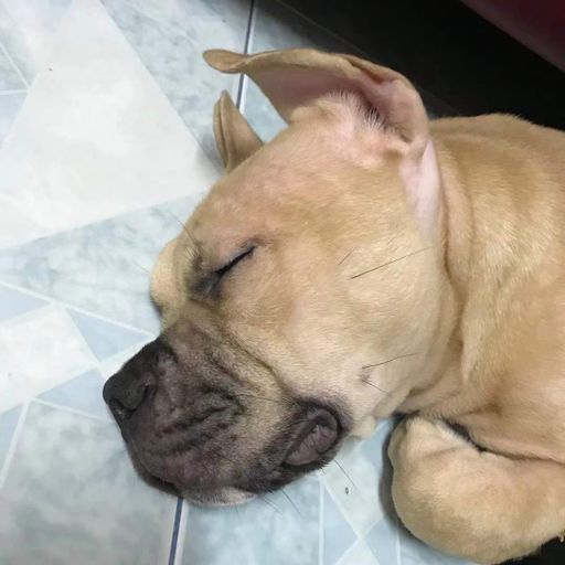 AA 专属【说说话x欢x哪里都是你x你不明白x故事很短x不如】DJ Holend 2022 Remix