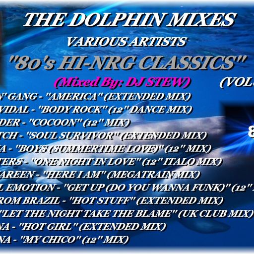 THE DOLPHIN MIXES - VARIOUS ARTISTS - ''80's HI-NRG CLASSICS'' (VOLUME 6)