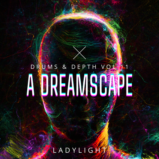 Drums & Depth Vol 11 - A Dreamscape