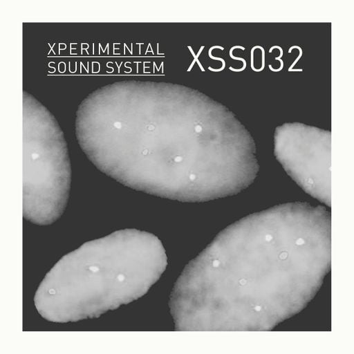 Xperimental Sound System: XSS032 / Cubo