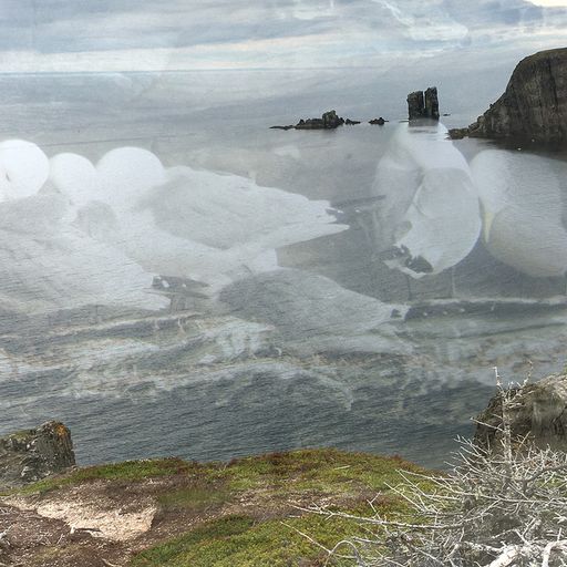 walkplacedistancetime #8 - Kittiwake Triptych No. 1: Skerwink - 1st October 2022