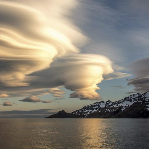 Lickweed Session (clouds)