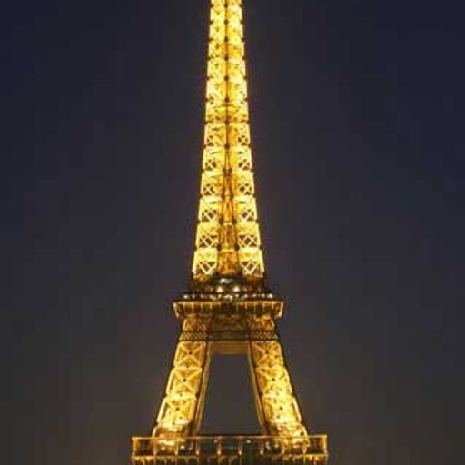 The French Connection