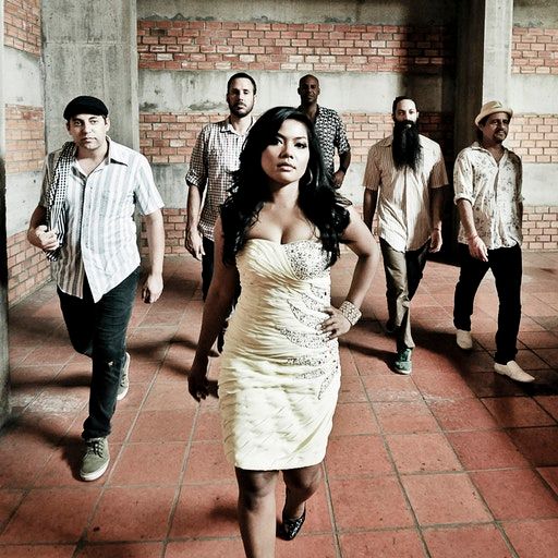 Fireside Chat – Dengue Fever