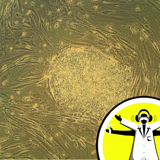Stem Cells and Gene Therapy - Naked Scientists 13.04.18