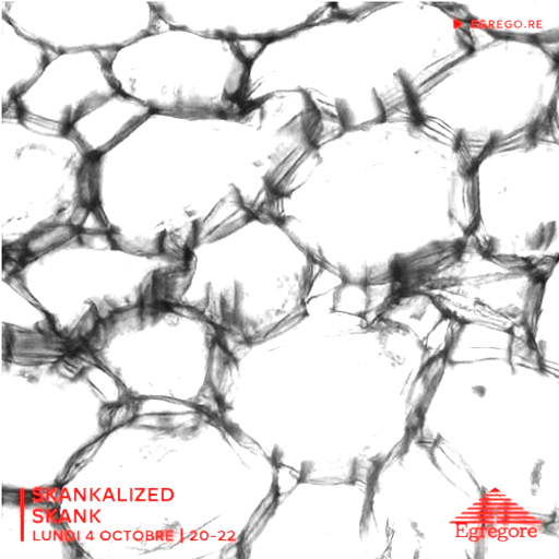Skankalized 11