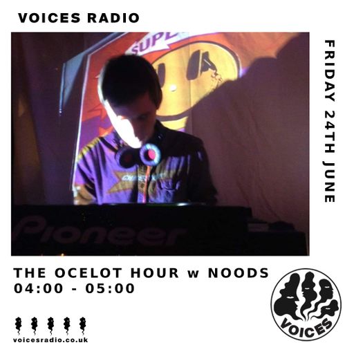 The Ocelot Houw w/ Noods - 24/06/22