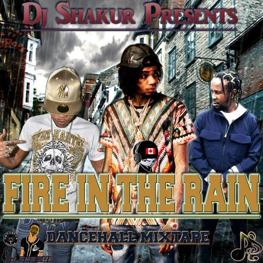 DJ Shakur - Fire In The Rain (Dancehall Mixtape 2017)