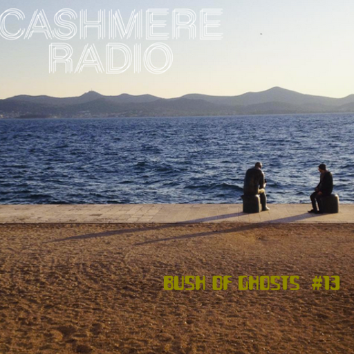 Bush of Ghosts # 13 with David Tinning