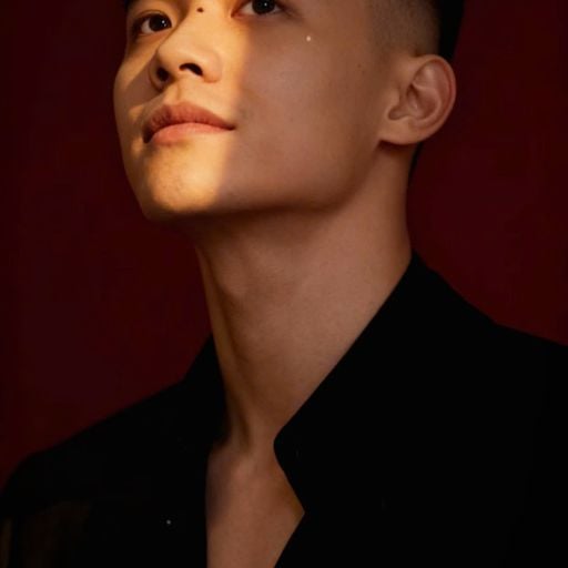 #NEW VIỆT MIX 2025 - HOẠ SỸ TỒI x CHẲNG THỂ CẢM HOÁ - Tú Titồ Mix