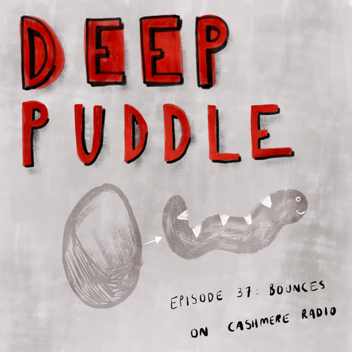 Deep Puddle Deep Puddle #37 - Bounces 29.12.2020