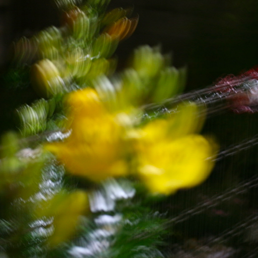 The Early Bird Show w/ PAM - 13th November 2025