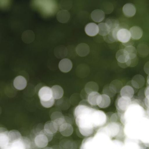 House Session (A Hundred Dreams Mix)