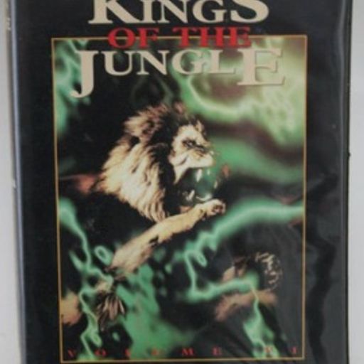 DJ Fabio - Kings of the Jungle Vol 6 (Event Unknown) - Feb 1995