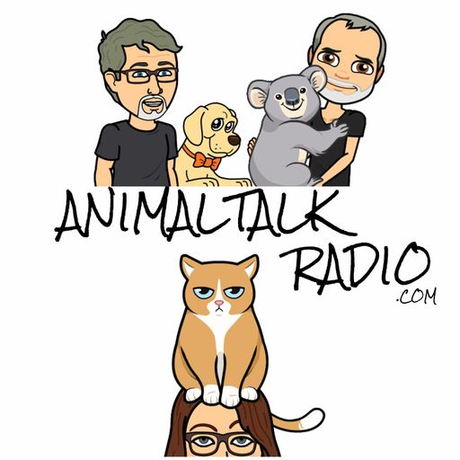 Animal Talk - Reptile Josh and a stolen Lemur - Episode 122