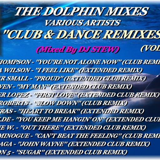 THE DOLPHIN MIXES - VARIOUS ARTISTS - ''CLUB & DANCE REMIXES'' (VOLUME 9)