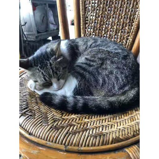 DJ'YE【Just For Andyy】《Về Đây Em Lo X Bring The Noise X 廣東雨神_-_求醉》Rmx 2x21 Private Mixtape By DJ'YE