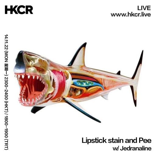 Lipstick stain and Pee w/ Jedranaline - 14/11/2022