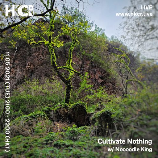 Cultivate Nothing w/ Noooodle King - 11/05/2021