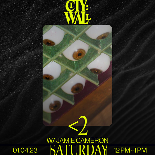 <2 Vol. 3 w/ Jamie Cameron - 01/04/2023