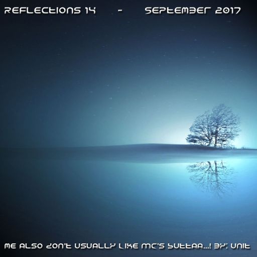 Reflections 14 - September 2017