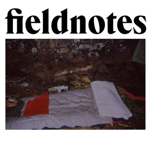 Fieldnotes - 24 February 2026