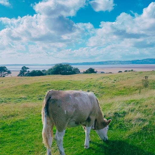 Jazzy/Soulful Liquid Drum and Bass Mix