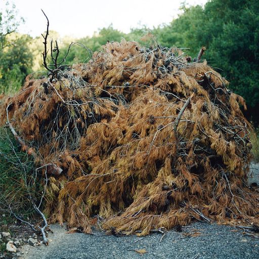 EPSILONIA WTF ALL STAR - PART TWO [Undance Experiments Feat K. / Ravi Shardja / Samon Takahashi]