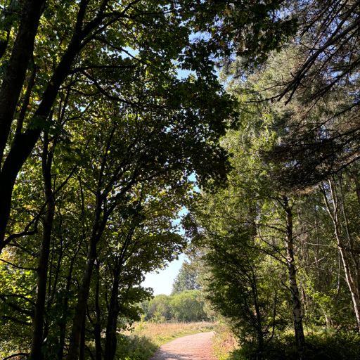 Rowan Flack and Charlie Barker 12-09-24