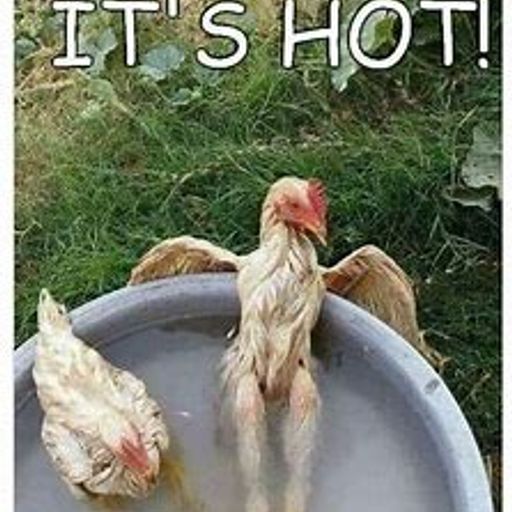 Hot Breaks