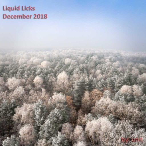 Liquid Licks December 2018