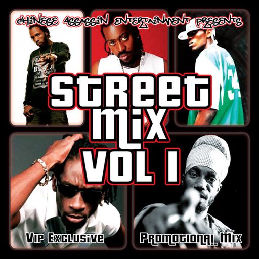 Chinese Assassin - Street Mix Vol. 1 (Mix 2010 Ft Elephant Man, Tessanne Chin, Chris Brown)