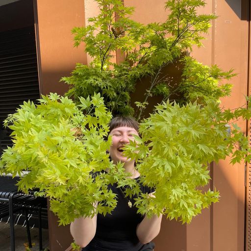 Henn 27/06/24 - [Voices Radio]