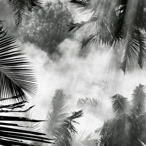 Digital Meditation # 139 (Lost in the Jungle – Zapata’s Thirst )