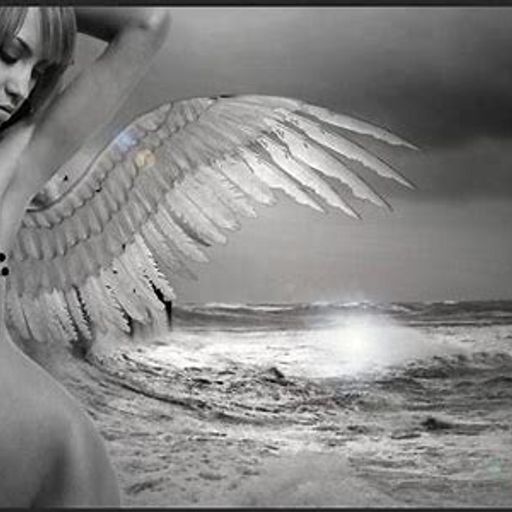 The Show Must Go On (ProgressiveRock)