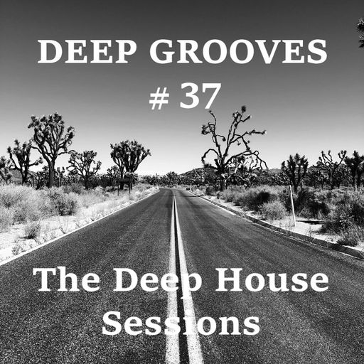 Deep Grooves #37 - The Deep House Sessions